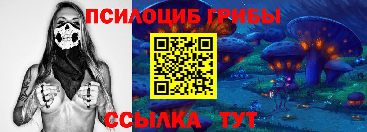 Псилоцибиновые грибы мицелий Пушкино