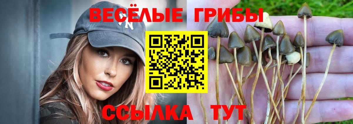 Псилоцибиновые грибы Psilocybe  Галлюциногенные грибы ЛСД  Пушкино  Вход с VPN 