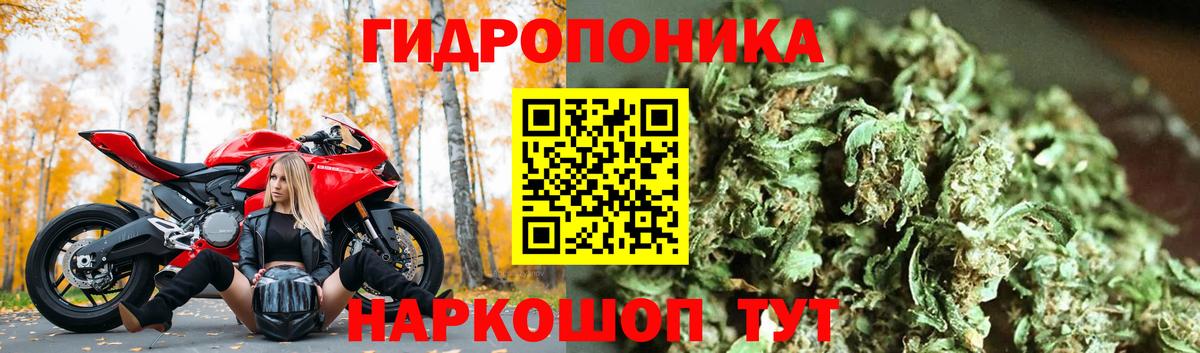 Пушкино  Бошки Шишки SATIVA & INDICA  МАРИХУАНА LSD WEED  Канабис OG Kush  Вход с VPN 